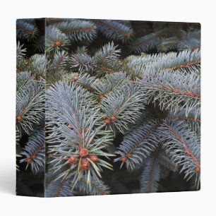 fir tree buds binder