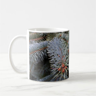 fir tree buds coffee mug