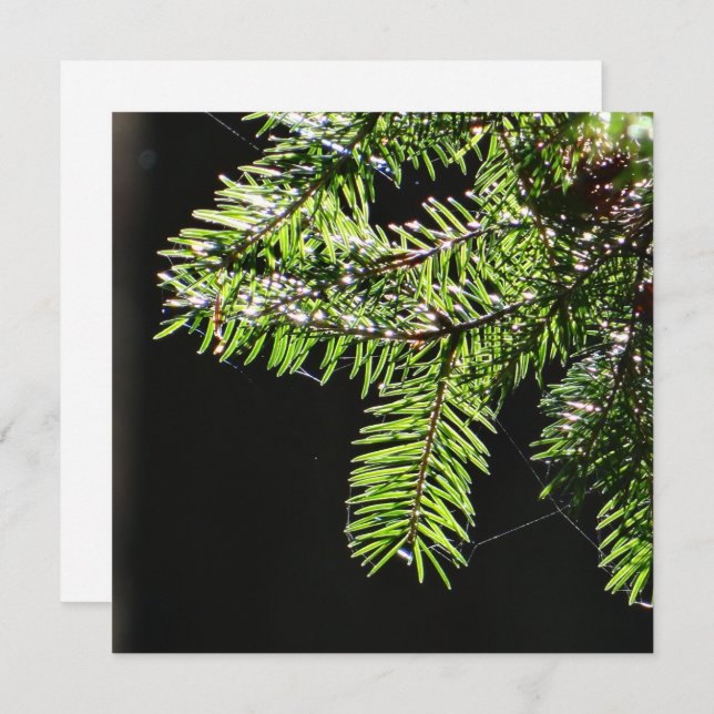 Fir tree card (Front/Back)