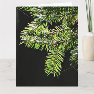 Fir tree card