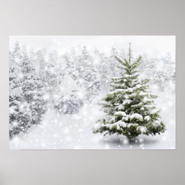 Fir Tree In Thick Snow Poster (Front)