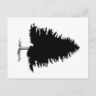 Fir Tree Postcard