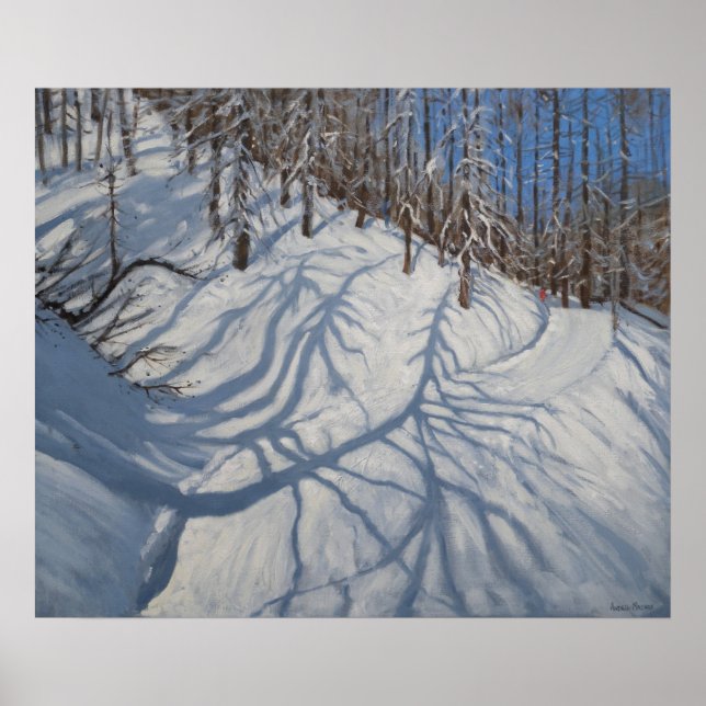 Fir Tree Shadows Tignes 2009 Poster (Front)