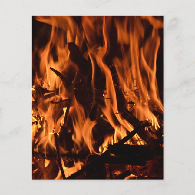 fire-432478 fire wood forest nature orange black b flyer (Front)