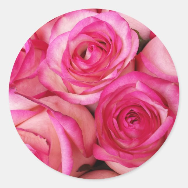 Fire and Ice Roses Classic Round Sticker (Front)