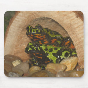 Fire Belly Toads Mouse Pad