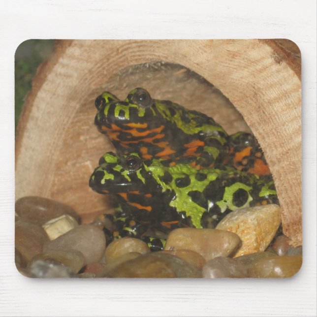 Fire Belly Toads Mouse Pad (Front)