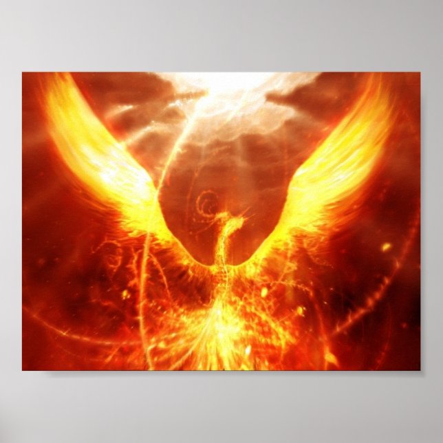 Fire bird poster (Front)