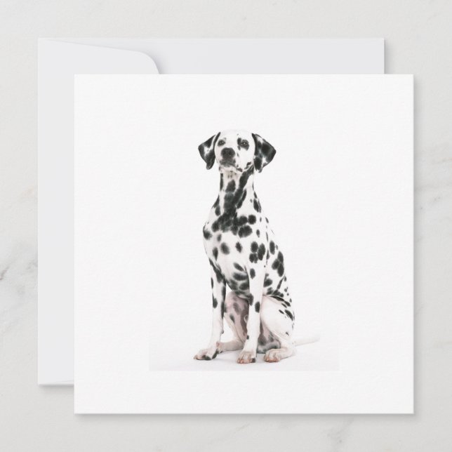 Fire Dog Invitations (Front)