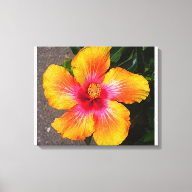 Fire Flower Canvas Print (Front)