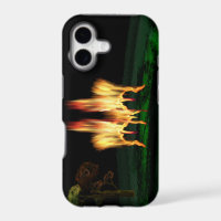 Fire Fly