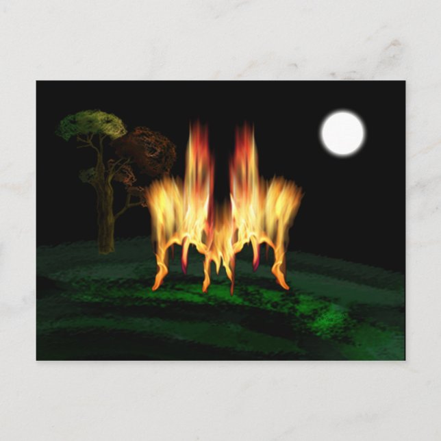 Fire Fly Postcard (Front)