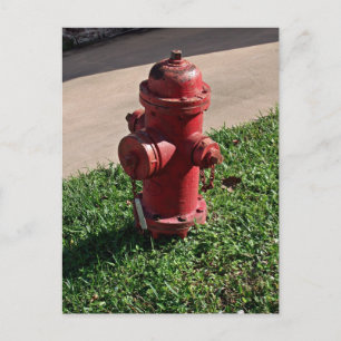 Fire hydrant postcard