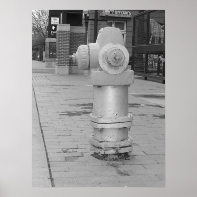 fire hydrant poster (Front)