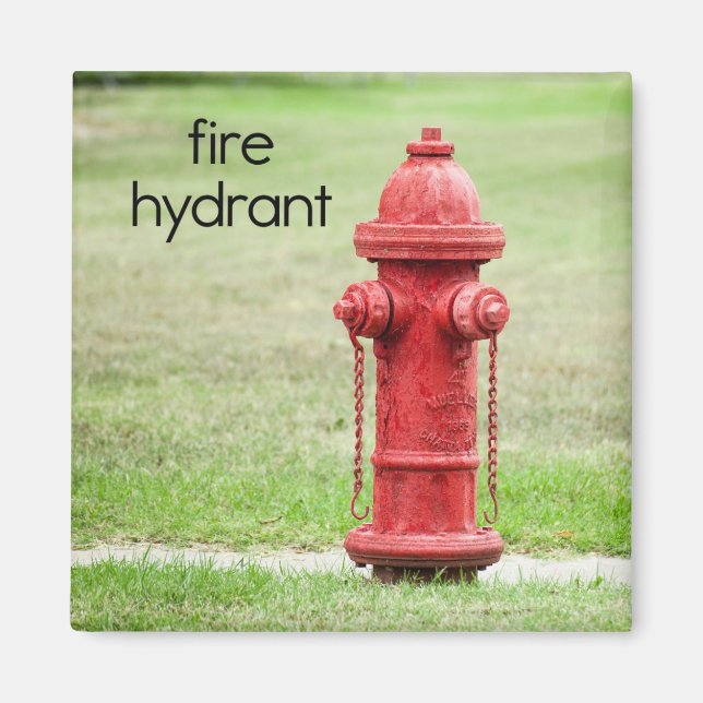 Fire Hydrant Refrigerator Magnet (Front)