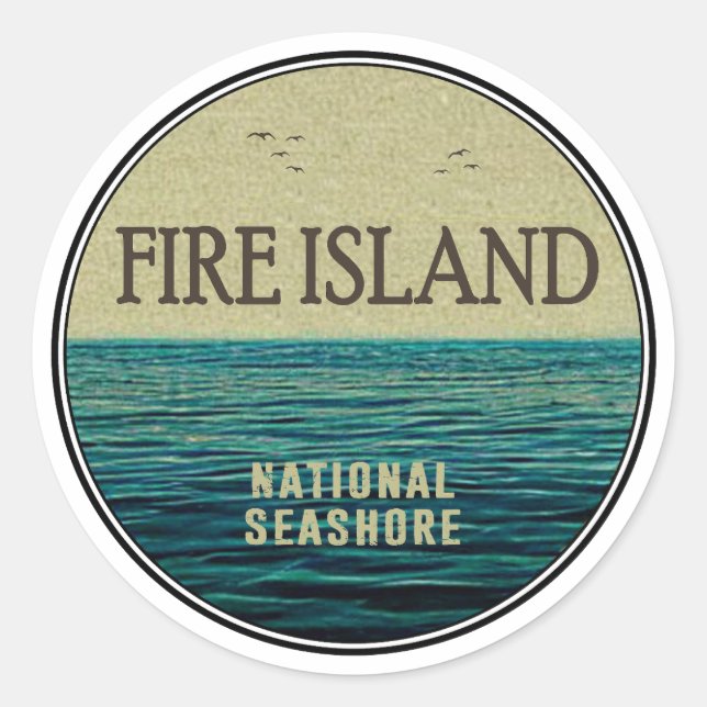 Fire Island National Seashore New York Ocean Birds Classic Round Sticker (Front)