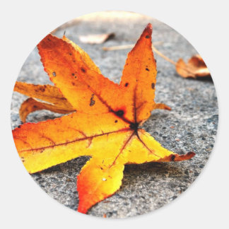 Fire Leaf Classic Round Sticker