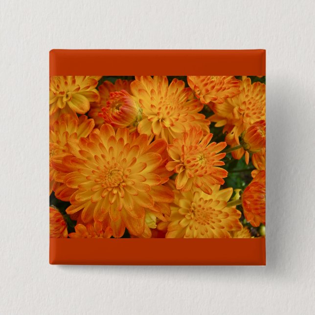 Fire Orange Chrysanthemums 2 Inch Square Button (Front)