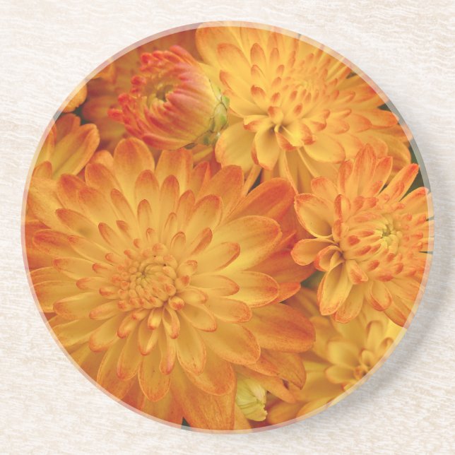Fire Orange Chrysanthemums Coaster (Front)
