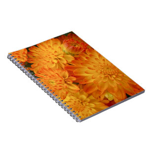 Fire Orange Chrysanthemums Notebook