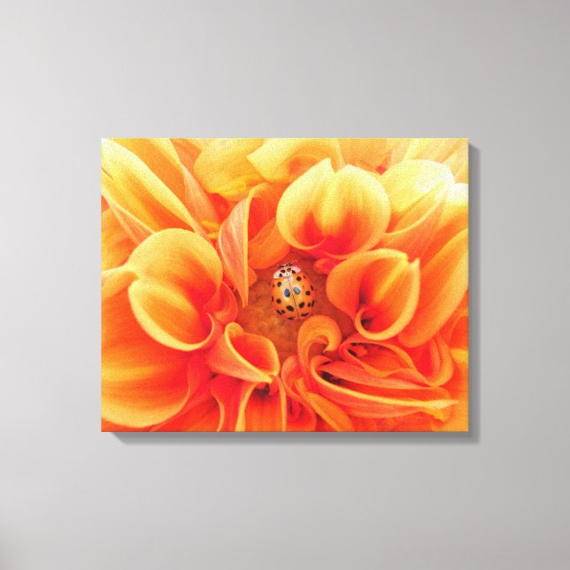 Fire Orange Dahlia Flower with lady bug Canvas Print (Front)