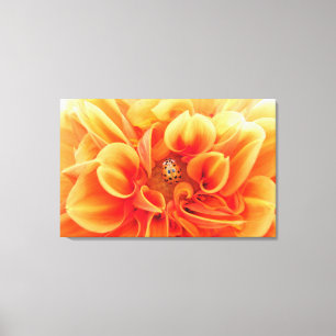 Fire Orange Dahlia Flower with lady bug Canvas Print