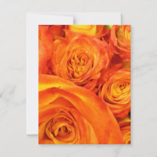 Fire Orange Roses