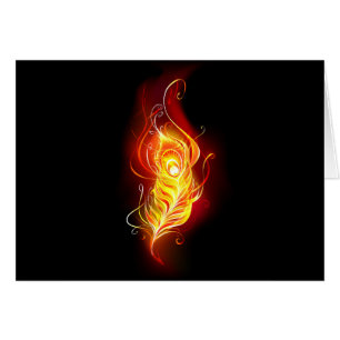 Fire Peacock Feather