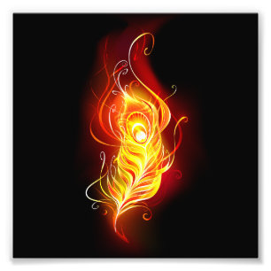 Fire Peacock Feather Photo Print