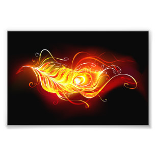 Fire Peacock Feather Photo Print