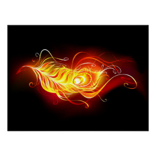 Fire Peacock Feather Poster
