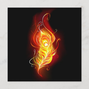 Fire Peacock Feather Program