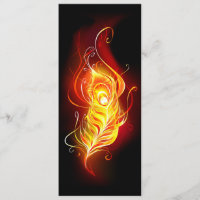Fire Peacock Feather