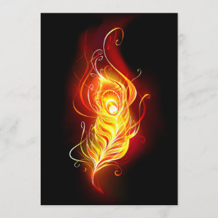 Fire Peacock Feather Program