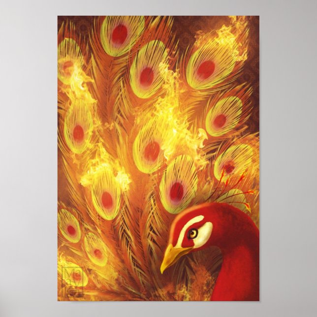 Fire peacock poster (Front)