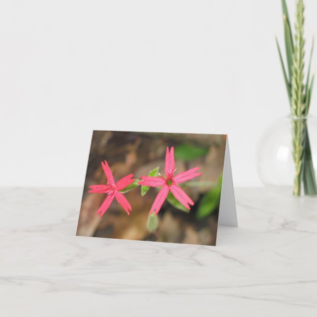 Fire Pink - Customized2 Card (Front)