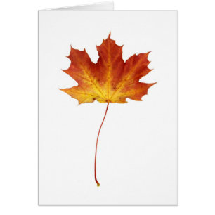 Fire Red Maple Leaf Card
