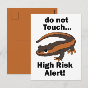 Fire Salamander Do Not Touch High Risk Alert Funny Postcard