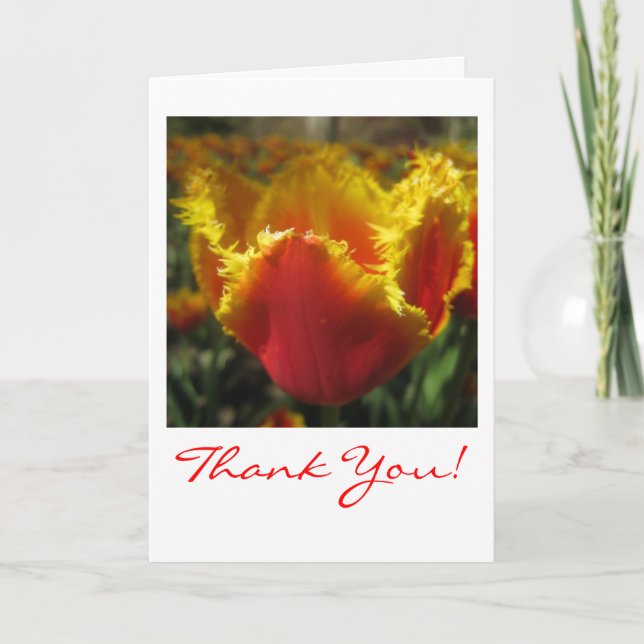 Fire Tulip Thank You Card (Front)
