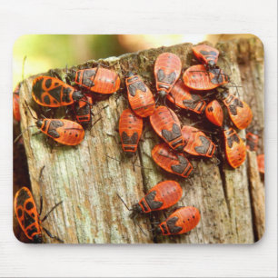 Firebugs Mouse Mat