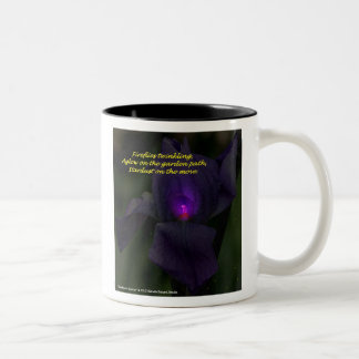 Fireflies & Stardust Mug