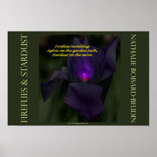 "Fireflies & Stardust" Portfolio Poster (16.5 x 11