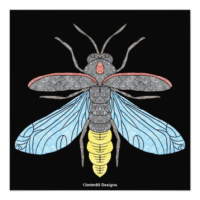 Firefly (black) - Photo Print (Front)