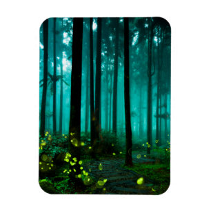 Firefly Magnet