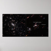 Firefly Sparkle Galaxy Cluster MACS J1423