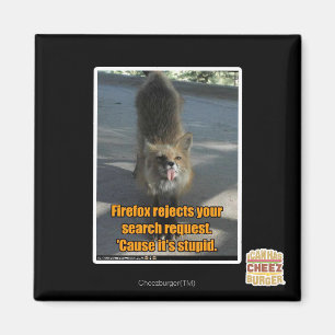 Firefox rejects magnet