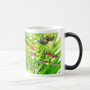Firehead tetras 2 magic mug