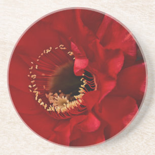 Firelight cactus coaster