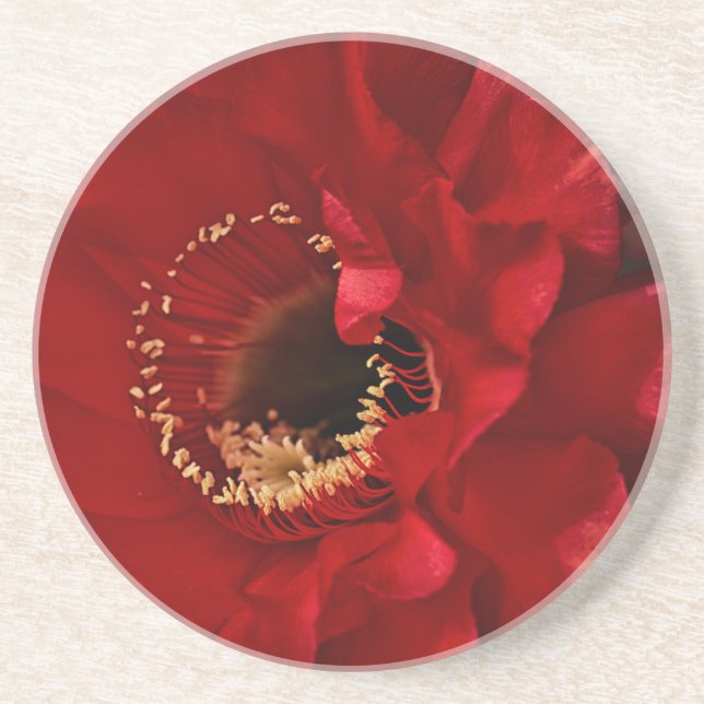 Firelight cactus coaster (Front)