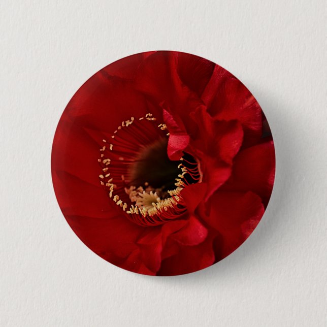 Firelight cactus flower 2 inch round button (Front)
